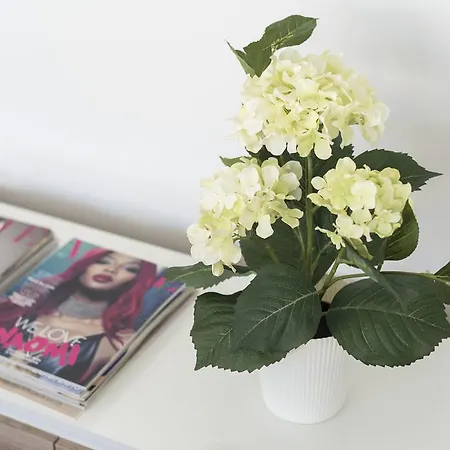 Lovelystay - Casas Brancas - Modern With Balcony & Free Private Parking Lejlighed